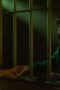 Nonton Film Yu Yu Hakusho Season 1 Episode 4 Bioskop21 Nonton Film Yu Yu Hakusho Season 1 Episode 4 Bioskop21