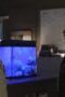 Nonton Film Siren Season 1 Episode 7 Bioskop21 Nonton Film Siren Season 1 Episode 7 Bioskop21