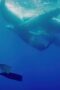 Nonton Film Welcome to Earth Season 1 Episode 1 Bioskop21 Nonton Film Welcome to Earth Season 1 Episode 1 Bioskop21