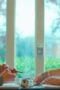 Nonton Film Prisma Season 1 Episode 2 Bioskop21