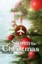 Nonton Film A Storm for Christmas (2022) Bioskop21 Nonton Film A Storm for Christmas (2022) Bioskop21