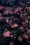 Nonton Film Risqué Business: The Netherlands and Germany Season 1 Episode 4 Bioskop21 Nonton Film Risqué Business: The Netherlands and Germany Season 1 Episode 4 Bioskop21