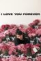 Nonton Film I Love You Forever (2025) Bioskop21